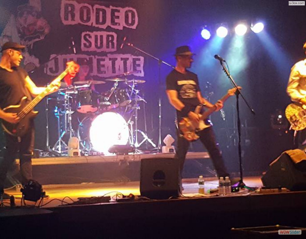 14656319_1198249093551949_4617870831223776771_n