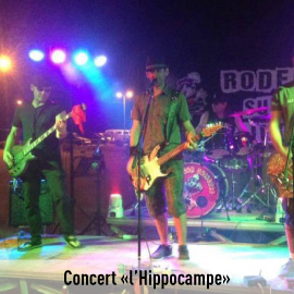 Concert l'Hippocampe