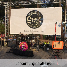 Concert Origin'all Live