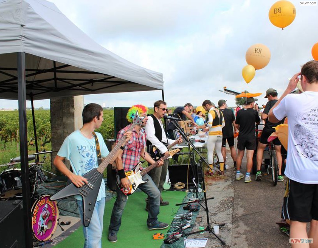 12006329_443028492556239_3912856259284252978_n