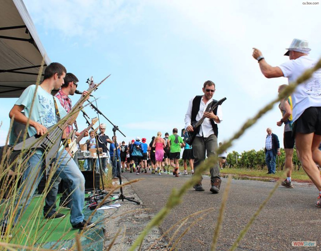 12019905_443028222556266_1013837110980504169_n